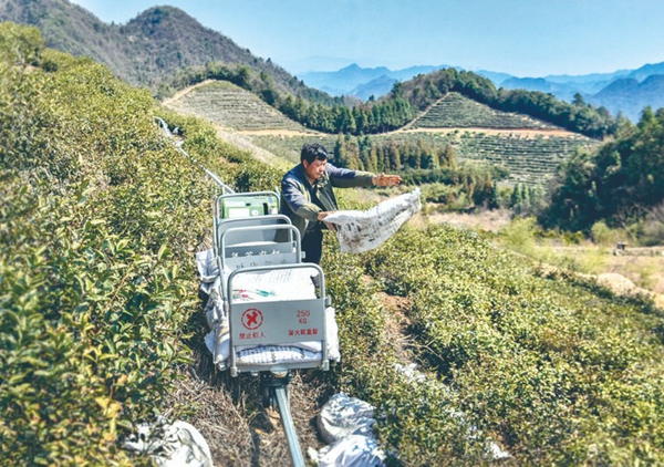 智慧茶园 科技助农